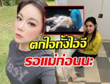 ‘ลุงเค็ม’ สุนัขที่รักของ ‘บุ๋ม’ หมดแรงถูกหามตรวจอาการด่วน (คลิป)