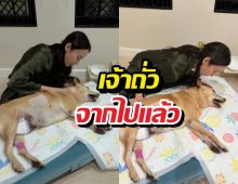 เศร้า อั้ม พัชราภา แจ้งข่าวเศร้า เจ้าถั่ว น้องหมาเซเว่นจากไปแล้ว