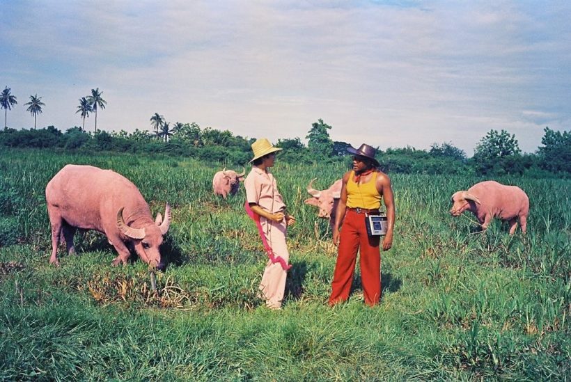  เผยนาทีชีวิต! รัศมีแข พลัดตกควายคอมเมนต์คนบันเทิงพีคมาก