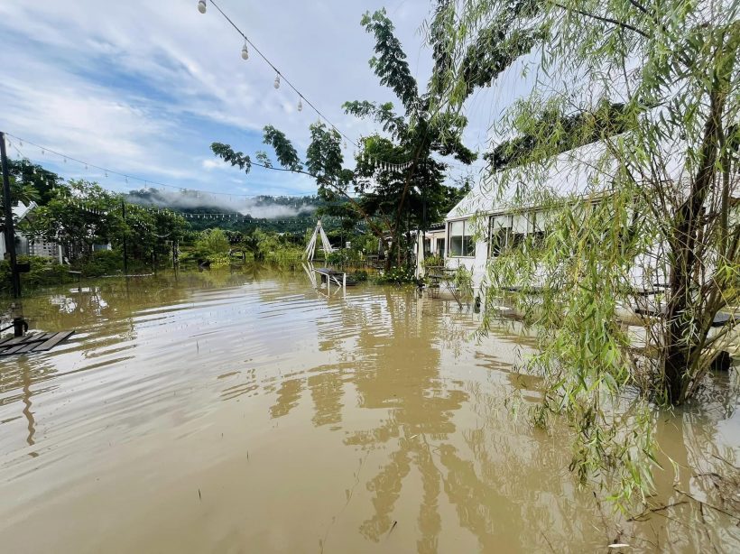  เปิดภาพรีสอร์ตคาเฟ่ราชินีดอกหญ้า ถูกน้ำท่วมต้องปิดชั่วคราว