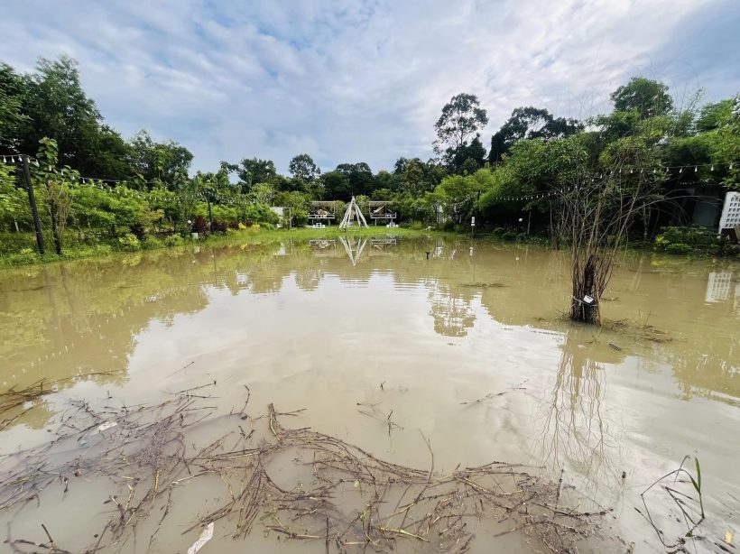  เปิดภาพรีสอร์ตคาเฟ่ราชินีดอกหญ้า ถูกน้ำท่วมต้องปิดชั่วคราว