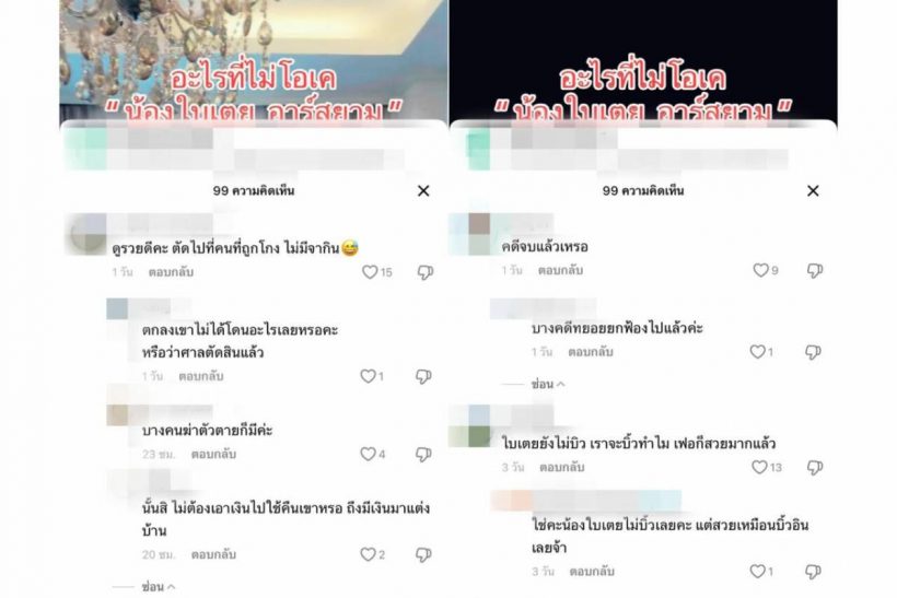 คอมเมนต์สุดซี๊ด! ชาวเน็ตโผล่ถาม ใบเตย เเบบนี้หลังมีเงินรีโนเวทบ้านใหม่