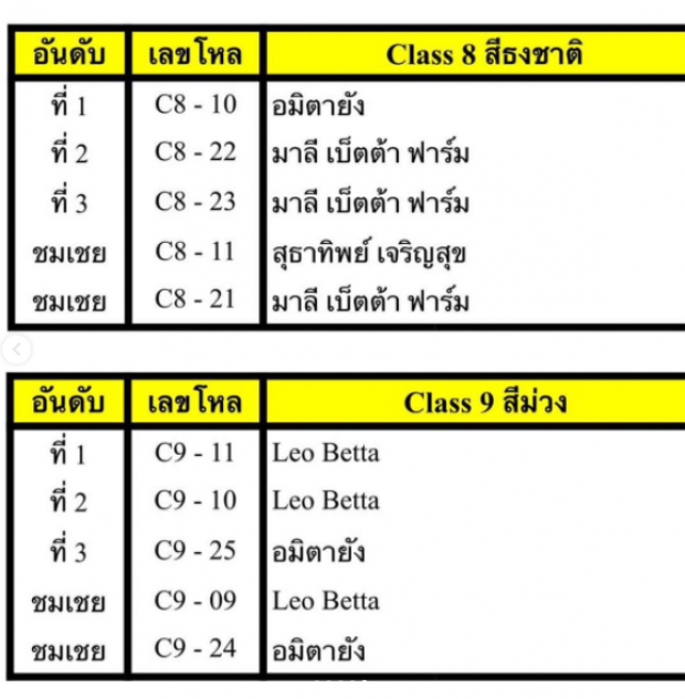 เจ๋ง!โคตร! ทาทา ยัง คว้ารางวัลชนะเลิศ ประกวดปลากัดลายธงชาติไทย!!