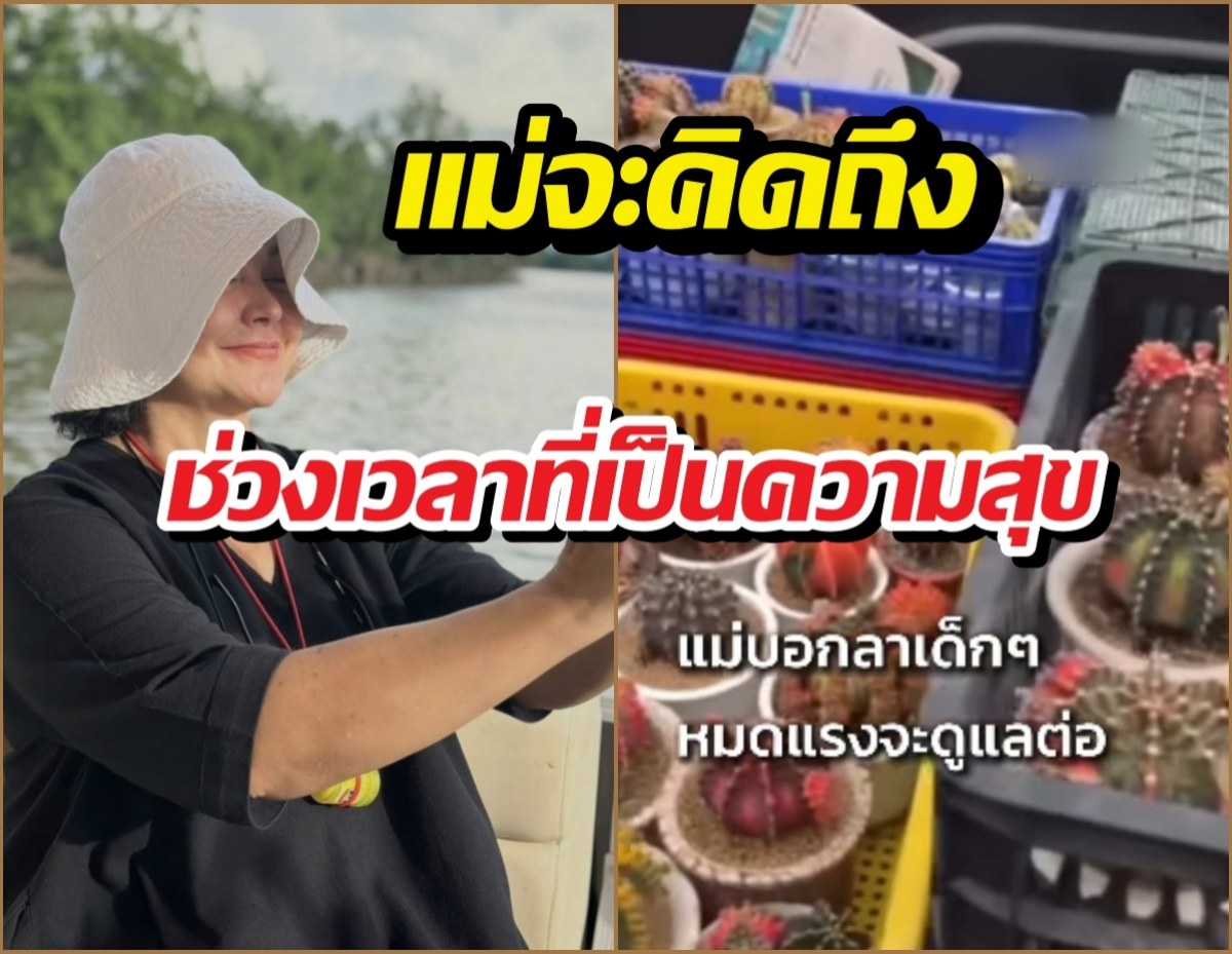 แห่ส่งกำลังใจ! แม่หมูลากระบองเพชรลูกรัก หมดเรี่ยวแรงจะดูแลต่อ