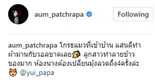 “อั้ม พัชราภา” งานเข้า!! ปล่อยให้แมวเข้าบ้าน จนหมาที่เลี้ยงไว้โกรธมาก!! ทำลายของในบ้านพังหมด