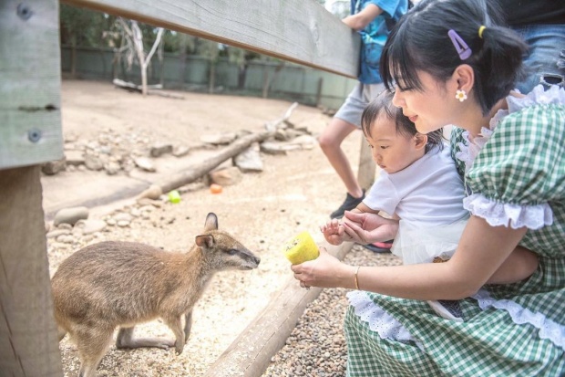 “บี้” อยากมีลูก 3 คน!! เตรียมลุยปั๊มลูกให้ทันปีหน้า เพราะสาเหตุนี้!!?