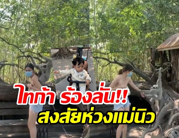 ลุ้นมาก! นิวเคลียร์ เล่นกับ ชะนี ทำเอาเสียวว้าบ ไทก้า ยังร้องลั่น