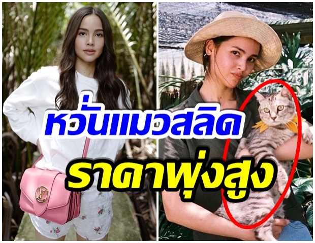 ทาสเเมวหวั่นใจ! หลังเห็นภาพนี้ของ ญาญ่า กลัวราคาจะพุ่งสูงขึ้น 