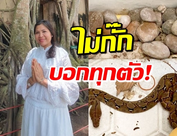 แม่แก้ว ผวา! งูใหญ่เข้าบ้าน พร้อมเผยเลขที่บ้านตามคำเรียกร้อง 