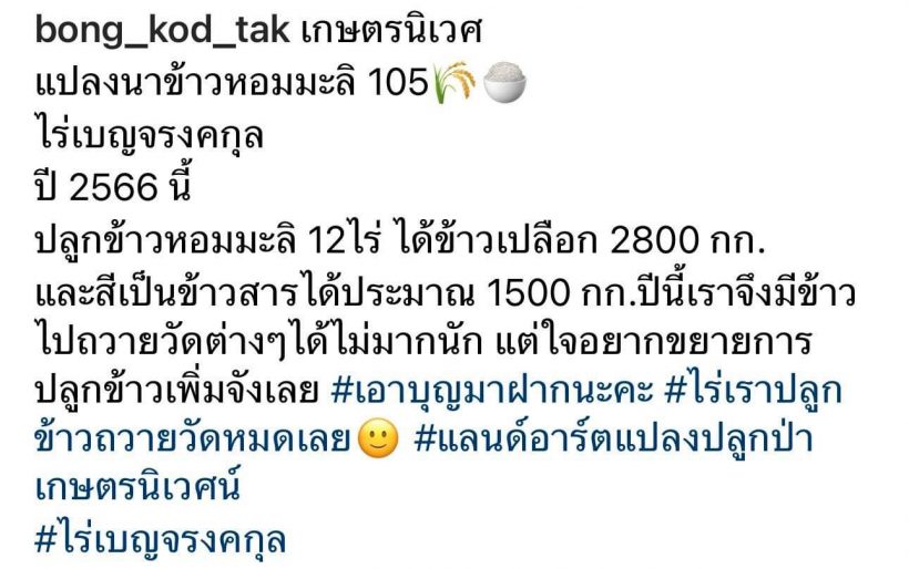 ใจบุญ ตั๊ก บงกช ปลูกข้าวหอมมะลิ ได้ 1,500 กก. ถวายวัดหมด