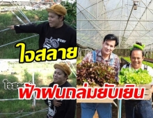  พังยับเยิน! เสนาหอย ใจสลาย พายุถล่มวินฟาร์ม เสาปูนยังหัก