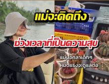 แห่ส่งกำลังใจ! แม่หมูลากระบองเพชรลูกรัก หมดเรี่ยวแรงจะดูแลต่อ