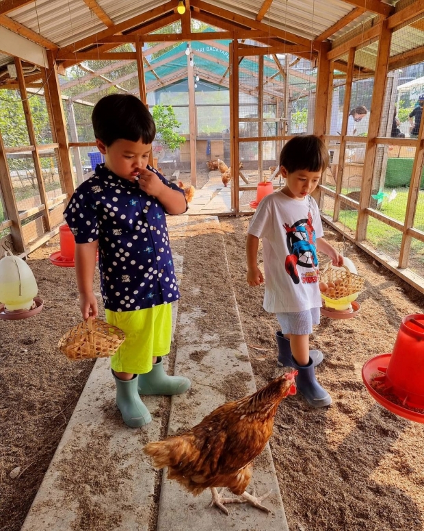 แม่ชม เลี้ยงลูกแบบติดดิน เผยโมเมนต์พาน้องสายฟ้า-พายุ เก็บไข่ในเล้า