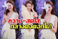 หวานมาก ณิชา แจกความสวยสดใส กลางทุ่งดอกไม้ น่ารักจนใจสั่นกันเลย