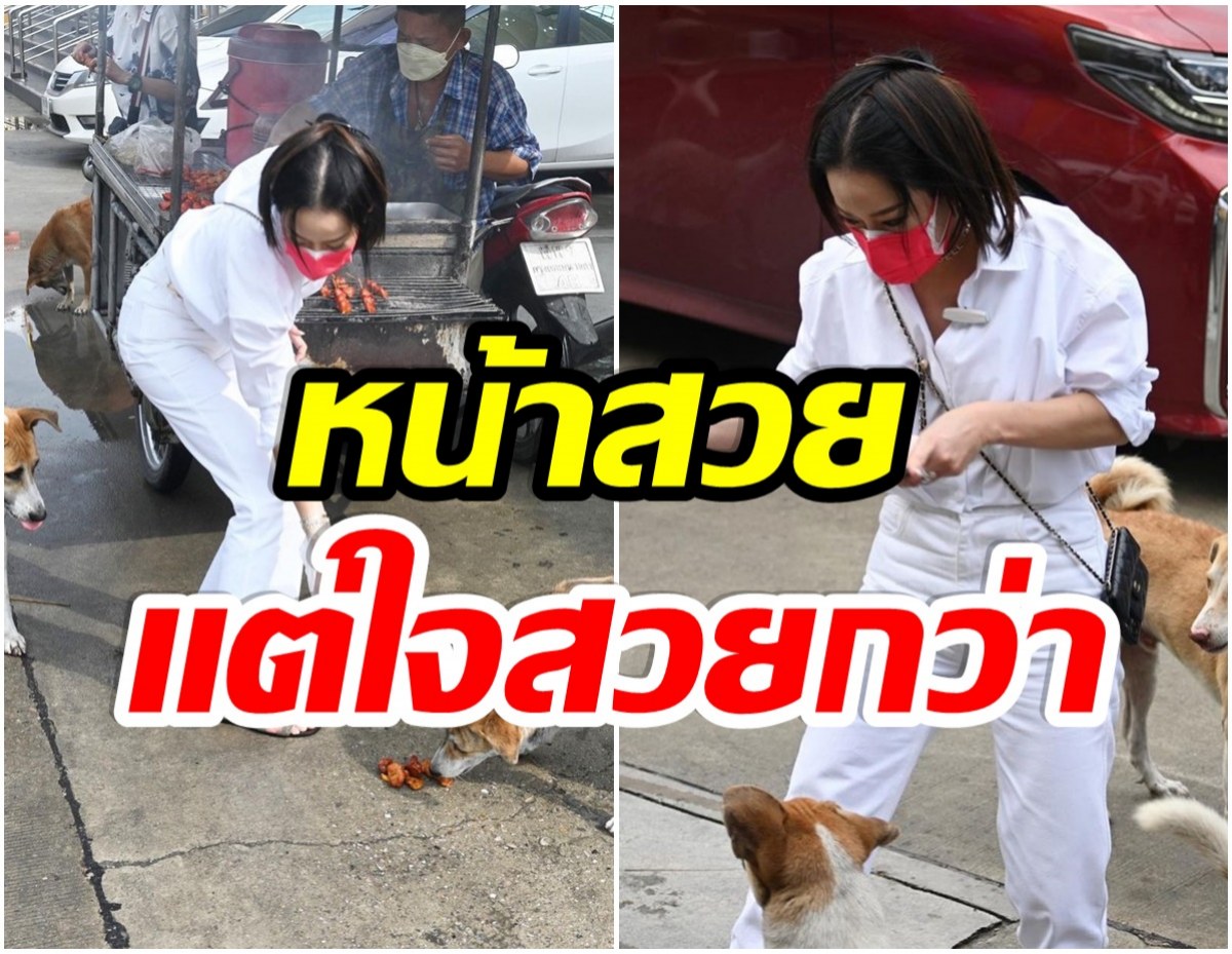 ปรบมือรัวๆ เธอนี่เเหละนางฟ้าตัวจริง สาวคนดัง เหมาไก่ย่างเลี้ยงหมาจร