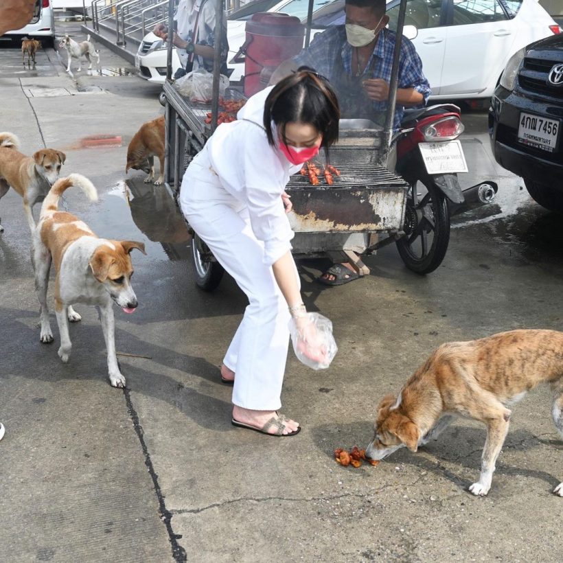 ปรบมือรัวๆ เธอนี่เเหละนางฟ้าตัวจริง สาวคนดัง เหมาไก่ย่างเลี้ยงหมาจร