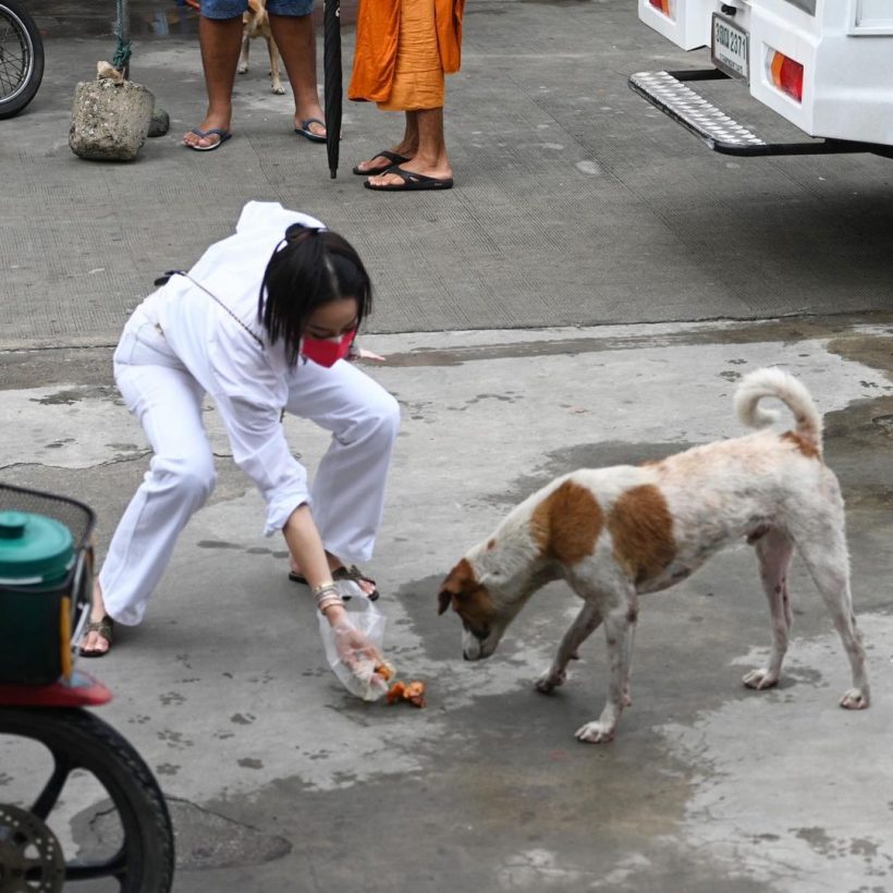 ปรบมือรัวๆ เธอนี่เเหละนางฟ้าตัวจริง สาวคนดัง เหมาไก่ย่างเลี้ยงหมาจร