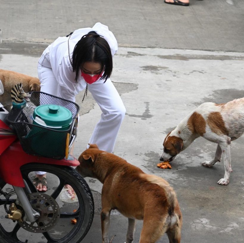 ปรบมือรัวๆ เธอนี่เเหละนางฟ้าตัวจริง สาวคนดัง เหมาไก่ย่างเลี้ยงหมาจร