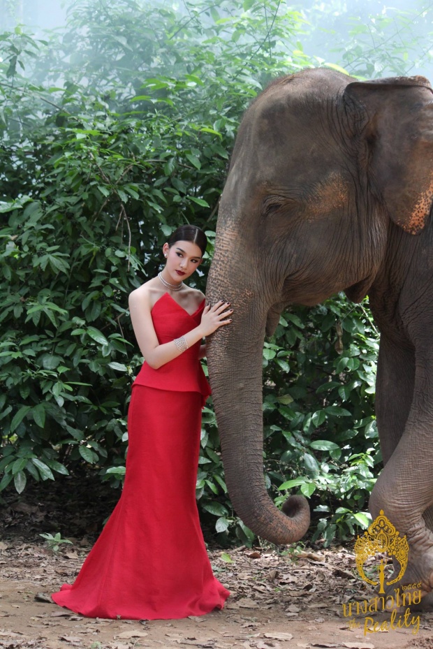 งดงามไม่คาดฝัน!! เมื่อ 24นางสาวไทย ถ่ายภาพ กับ ช้าง!