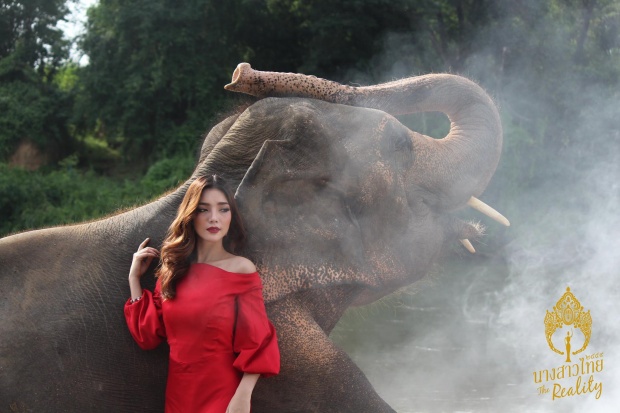 งดงามไม่คาดฝัน!! เมื่อ 24นางสาวไทย ถ่ายภาพ กับ ช้าง!