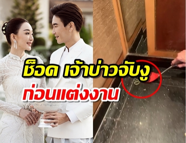 ระทึกก่อนแต่ง ตู่ ปิยวดี – มาวิน เจองูเลื้อยเข้าบ้าน