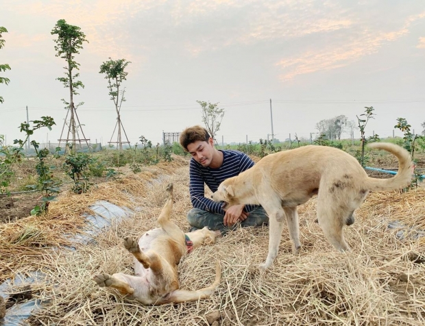 พระเอกช่อง3คนดัง ผันตัวเป็นชาวสวน เตรียมตัวเเต่งเเฟนสาวร่วมช่อง 