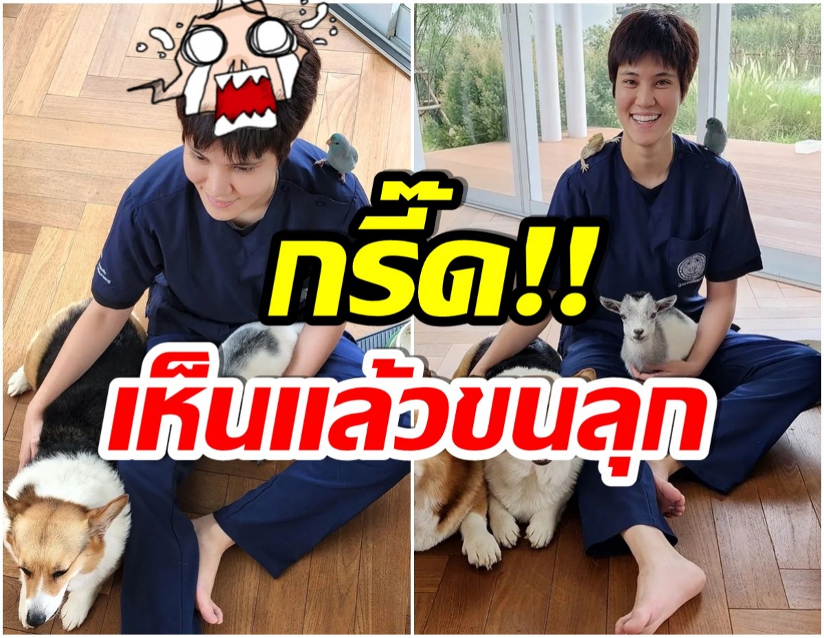 หมอเจี๊ยบ เเนะนำสมาชิกตัวใหม่ เกาะอยู่บนหัว เห็นเเล้วฉันร้องกรี๊ดเลย