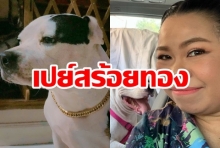 เส้นใหญ่มาก! ตุ๊กกี้ลงทุนซื้อทองให้น้องพิทบูลแสนรักใส่รับปีใหม่