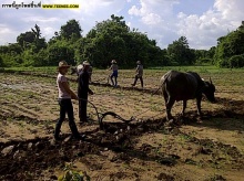 สาวผมสั้นสุดน่ารักเจี๊ยบ โสภิตนภา