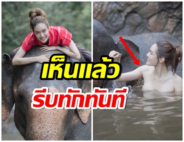 เกรซ อาบน้ำให้น้องช้าง ภาพนี้ทำอึ้ง! หลายคนถึงกับต้องทัก 