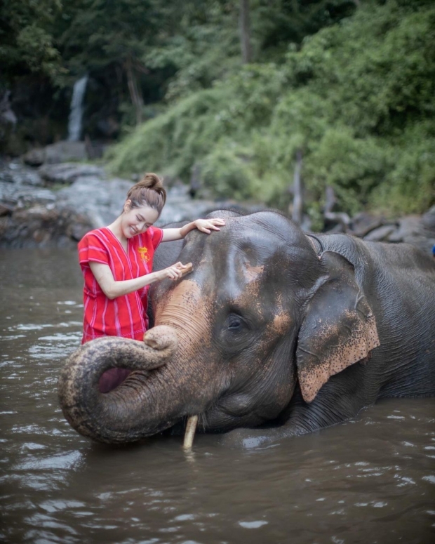 เกรซ อาบน้ำให้น้องช้าง ภาพนี้ทำอึ้ง! หลายคนถึงกับต้องทัก 