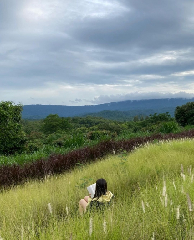 บรรยากาศพันล้าน! ญาญ่า อวดวิวบ้านที่เขาใหญ่ มองไปทางไหนเจอเเต่สีเขียว 