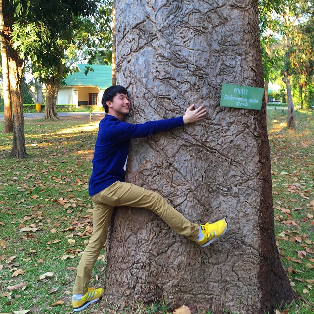 ริท เรืองฤทธิ์