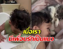 เอ็นดูน้องโฮมส์ลูกพ่อพอร์ช เลียนแบบแมวซะแล้ว