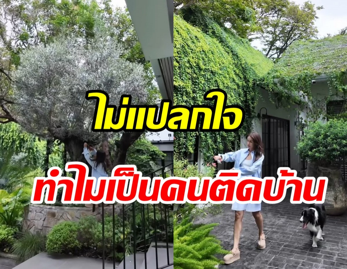 ส่องบ้าน แอน ทองประสม เขียวร่มรื่นโอบล้อมด้วยธรรมชาติ
