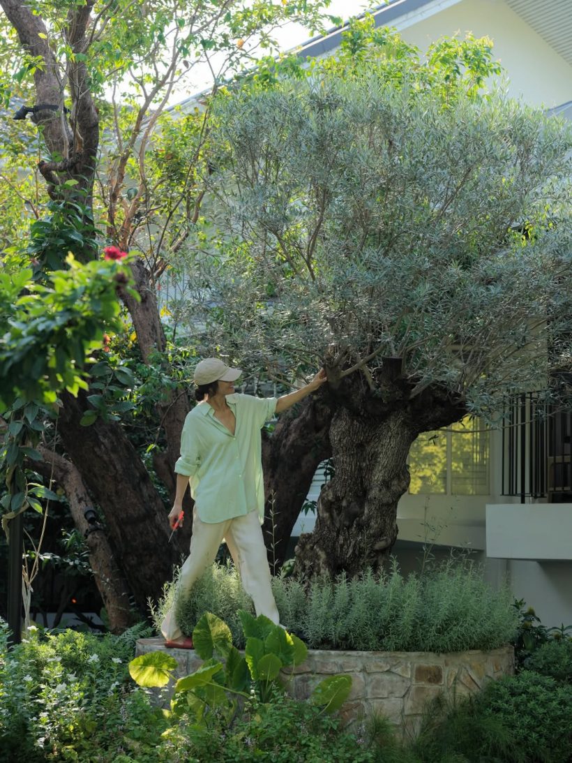 ส่องบ้าน แอน ทองประสม เขียวร่มรื่นโอบล้อมด้วยธรรมชาติ