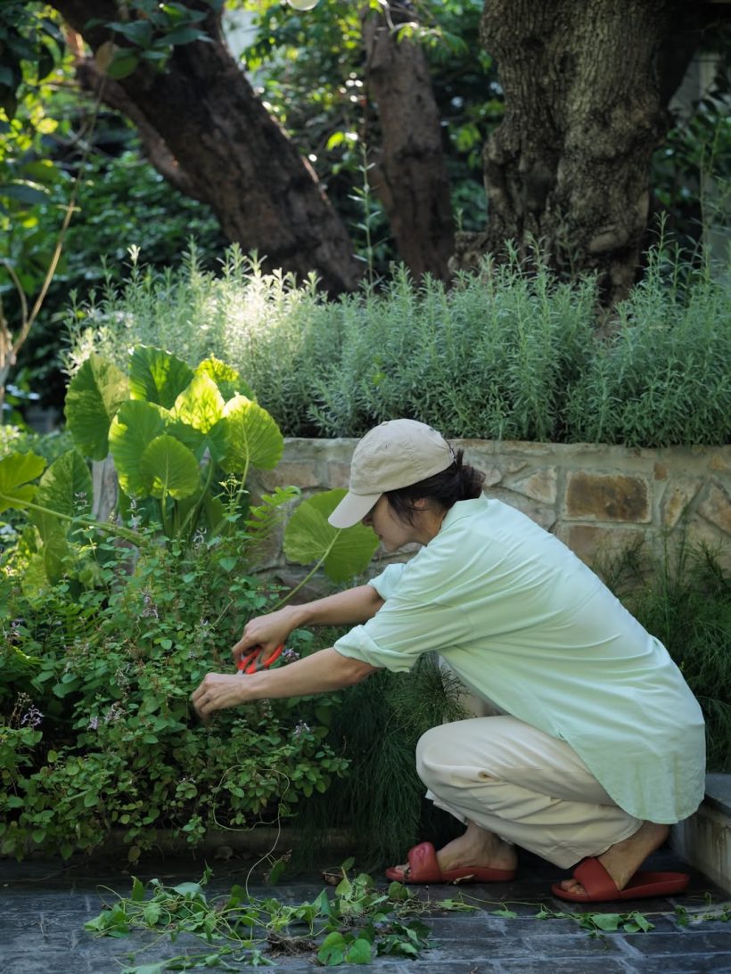 ส่องบ้าน แอน ทองประสม เขียวร่มรื่นโอบล้อมด้วยธรรมชาติ