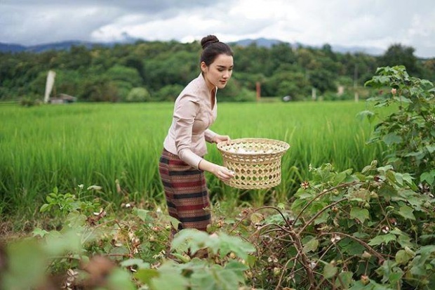 หน้าฝรั่งแต่หัวใจไทย!!  เดียร์น่า ฟลีโป นุ่งซิ่น เก็บฝ้าย ร่วมบุญ“จุลกฐิน”