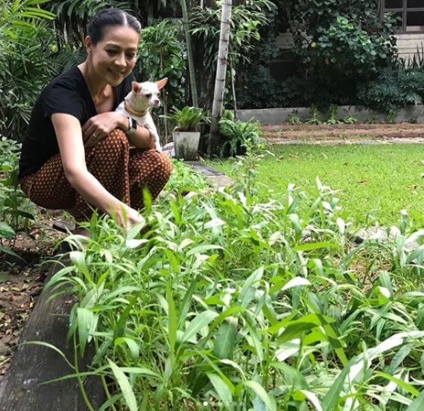 อีกมุมของอดีตนางงาม รวยมหาศาล แต่ใช้ชีวิตเรียบง่าย อยูบ้านปลูกผัก