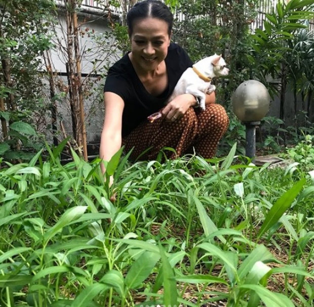 อีกมุมของอดีตนางงาม รวยมหาศาล แต่ใช้ชีวิตเรียบง่าย อยูบ้านปลูกผัก