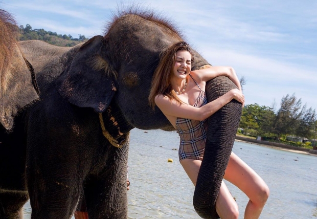 โฟกัสจุดไหนดี ดิว อริสรา ปล่อยความแซ่บรัวๆ ในชุดวันพีช เล่นกับช้างน้อย