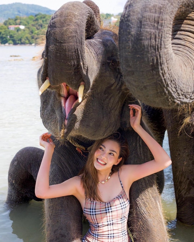 โฟกัสจุดไหนดี ดิว อริสรา ปล่อยความแซ่บรัวๆ ในชุดวันพีช เล่นกับช้างน้อย