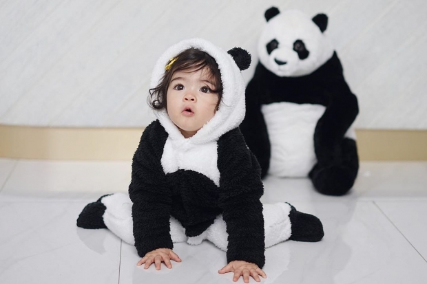 ใจบาง! น้องเดมี่ มาในชุดหมีแพนด้า น่ารักที่สุดในแดนสยาม