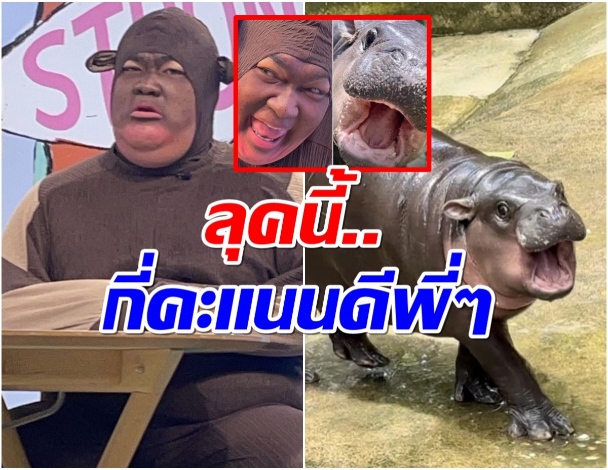  ปิงปอง โคฟเวอร์เป็นเจ้าหมูเด้ง เเฟนๆเห็นเเล้วลั่นคำนี้! 