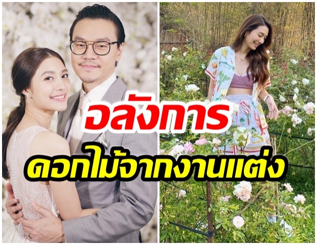 ตระการตา! มิว อวดกุหลาบเเปลงใหญ่ ปลูกเองกับมือ-ถ่ายรูปมุมไหนก็สวย