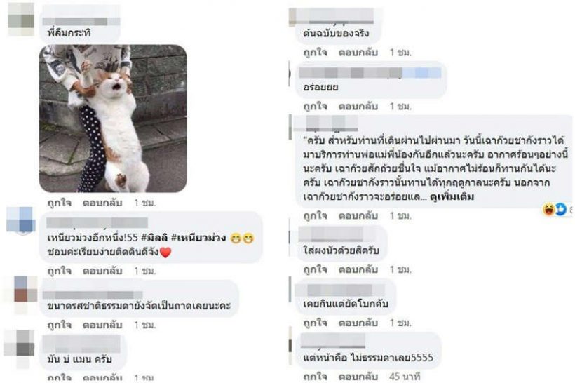 ชาวเน็ตรีบเบรก หลัง สิงโต นำโชค กินข้าวเหนียวมะม่วงเเบบนี้