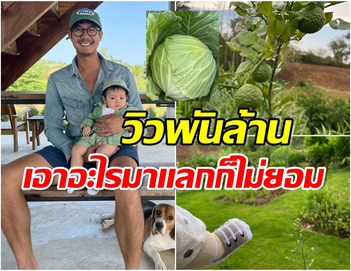 เวียร์-วิกกี้ อุ้มน้องวิริน ชมสวนผักข้างครัว ปลูกไว้เยอะมากอุดมสมบูรณ์สุดๆ