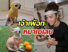 “ปาล์มมี่” จับ “น้องเผือก” แต่งตัวสุดฮา โดนใจชาวเน็ตยกขึ้นแท่นหมาเซเลบ