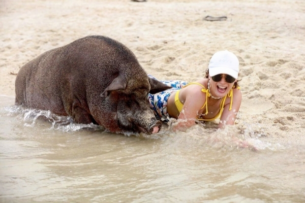 เเซ่บให้เด็กดู เอมี่ จัดให้ ท่าพายเรือพายัค เห็นเเล้วเสียวเลย