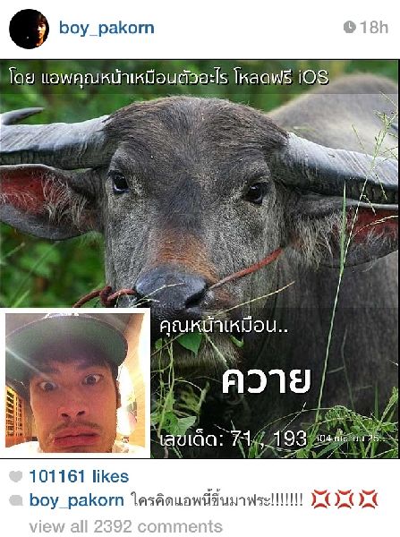 เมื่อดารา-นักร้อง-คนดัง กลายมาเป็นสัตว์ พวกเขาหน้าเหมือนตัวอะไร??